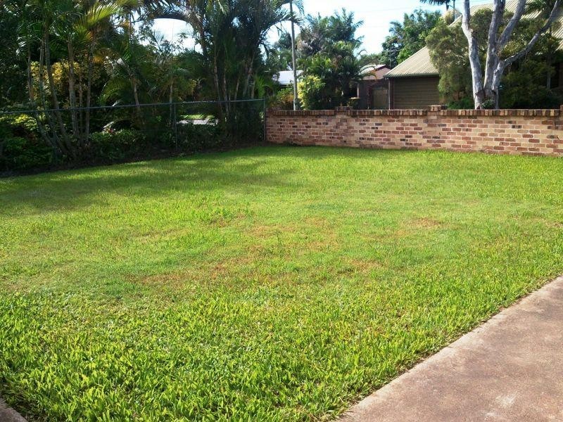 14 Ruth Street, Birkdale QLD 4159