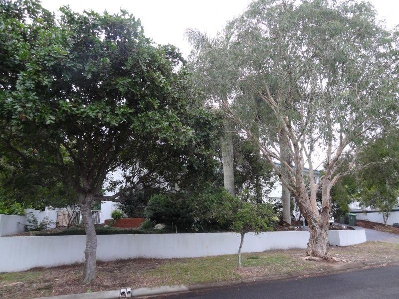 55 Rembrandt Street, Carina QLD 4152