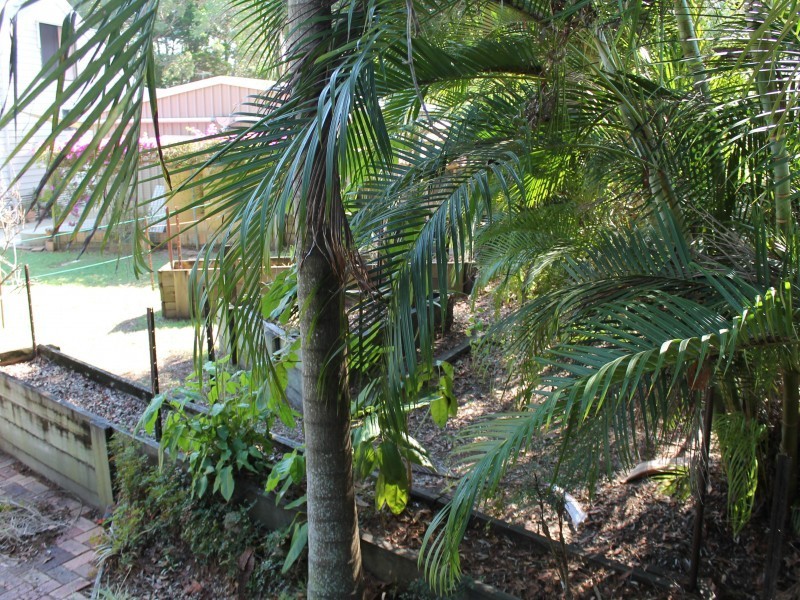 4 Pandanus Street, Coochiemudlo Island QLD 4184