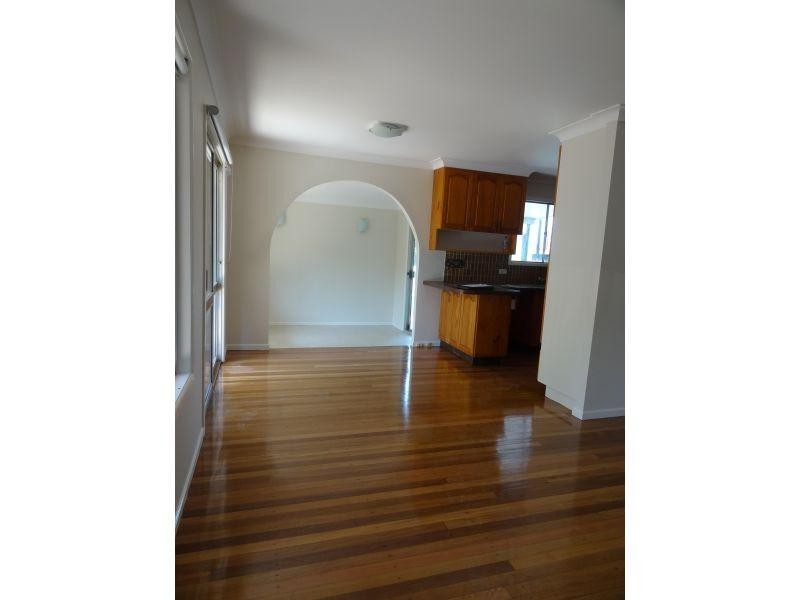 41 Newcombe Street, Sunnybank Hills QLD 4109