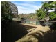 35 Plantain Road, Shailer Park QLD 4128