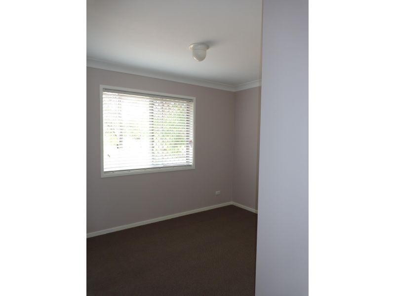 17 Pandanus Street, Birkdale QLD 4159