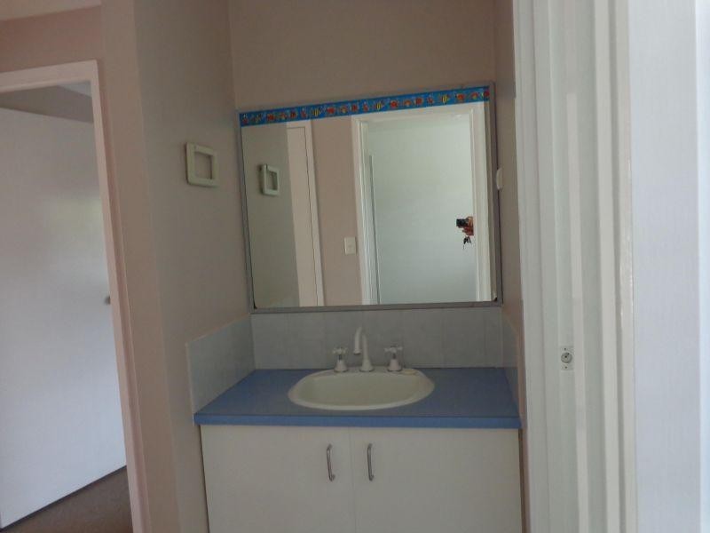 17 Pandanus Street, Birkdale QLD 4159