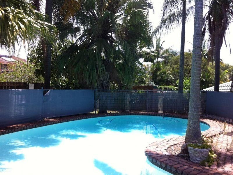 51 Fullerton Street, Birkdale QLD 4159