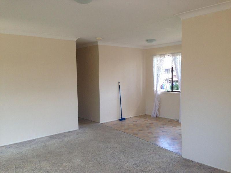 10 Cymbidium Street, Alexandra Hills QLD 4161