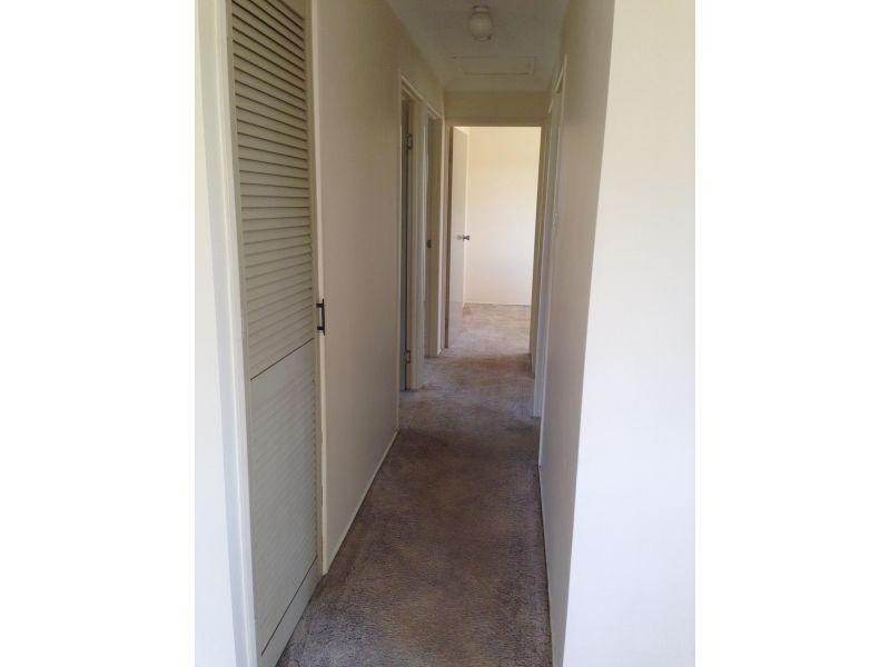 10 Cymbidium Street, Alexandra Hills QLD 4161