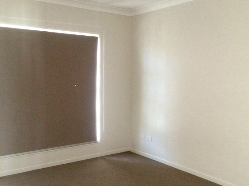 6 Tuckeroo Street, Thornlands QLD 4164