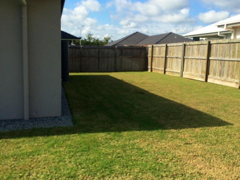 6 Tuckeroo Street, Thornlands QLD 4164