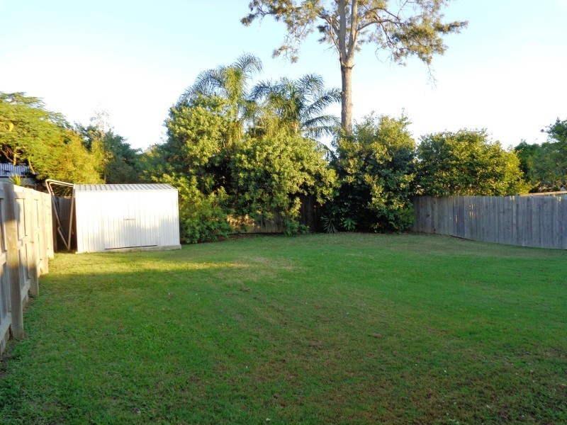 19 Grenade Street, Cannon Hill QLD 4170