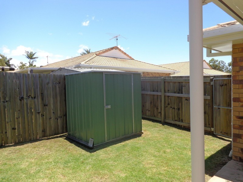 17/91 Wynyard street, Cleveland QLD 4163