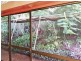 13a Frederick Street, Wellington Point QLD 4160