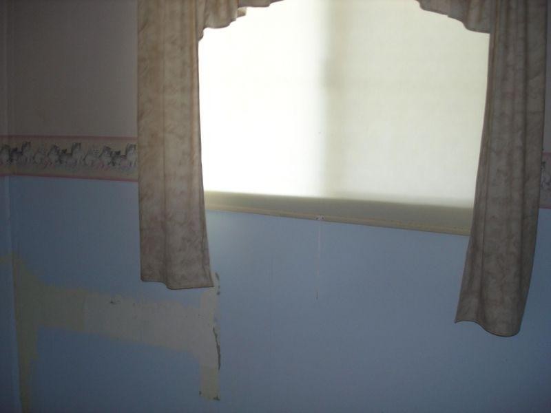 89 Cavell Street, Birkdale QLD 4159