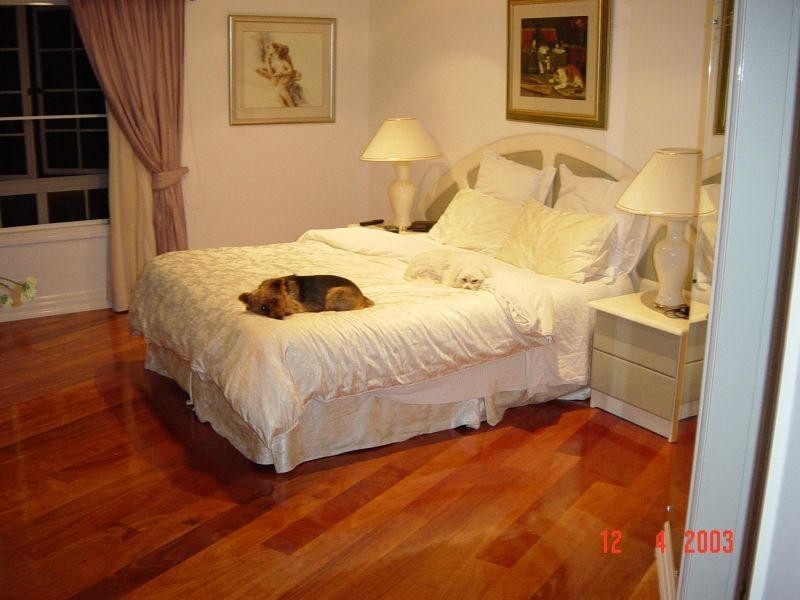 55 Rembrandt Street, Carina QLD 4152