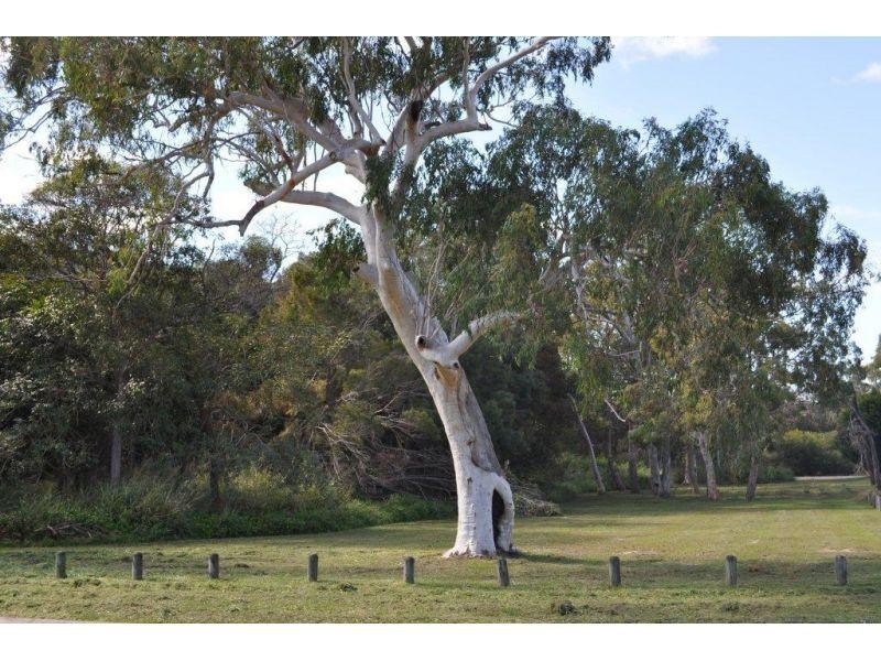 2 Creswick Place, Birkdale QLD 4159