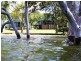 42 Carissa St, Russell Island QLD 4184
