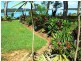 42 Carissa St, Russell Island QLD 4184