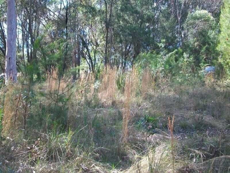 37 Jasper Street, Russell Island QLD 4184