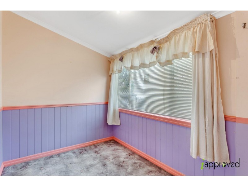 61 Dahlia Street, Cannon Hill QLD 4170