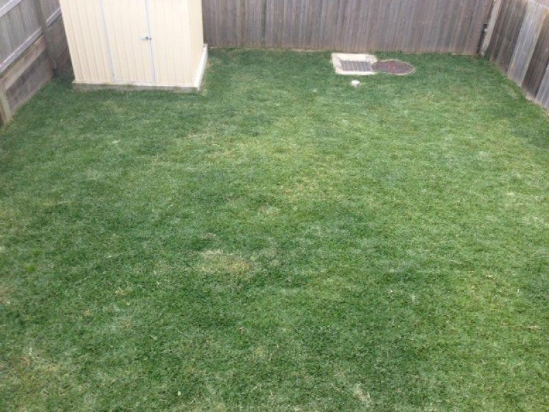 Alexandra Hills QLD 4161