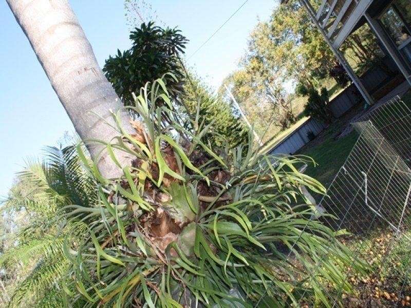 18 Mainview Drive, Russell Island QLD 4184