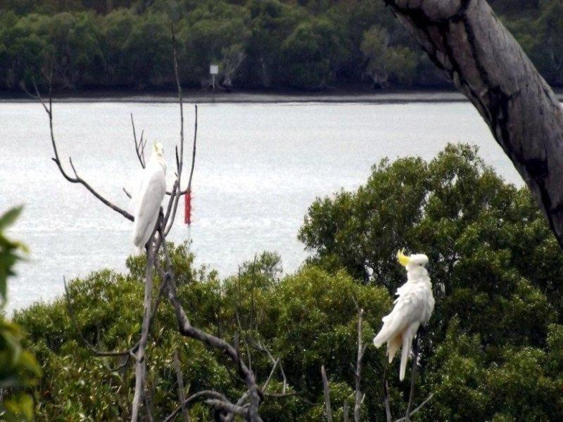 14 Aquamarine Street, Russell Island QLD 4184