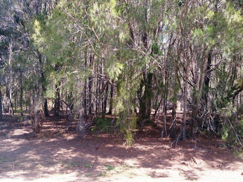 42 Barcelona Street, Russell Island QLD 4184