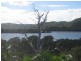 19 Aquamarine Ave, Russell Island QLD 4184