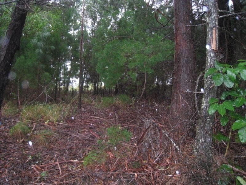 5 Callistemon Street, Russell Island QLD 4184