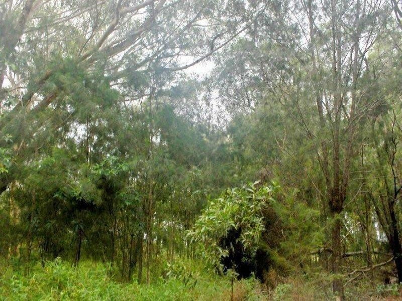 11 Coleus Street, Russell Island QLD 4184