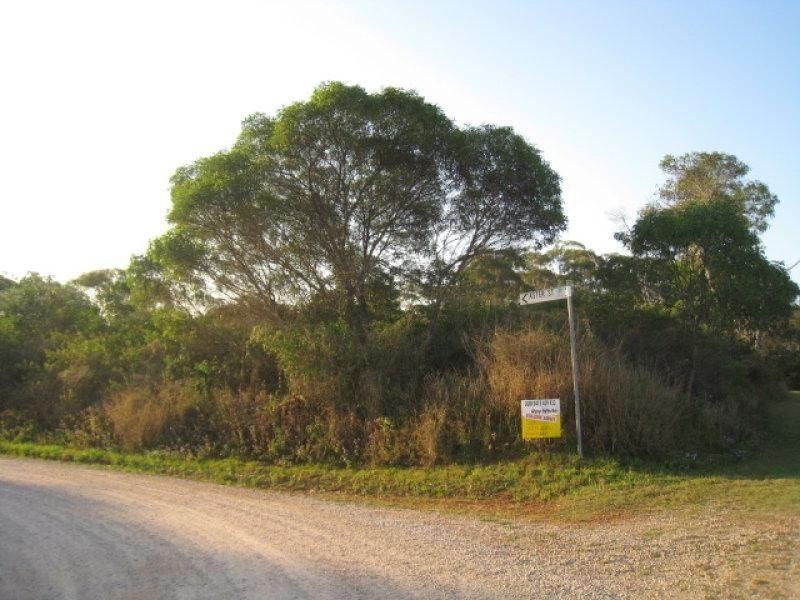 12 Allamanda Street, Russell Island QLD 4184