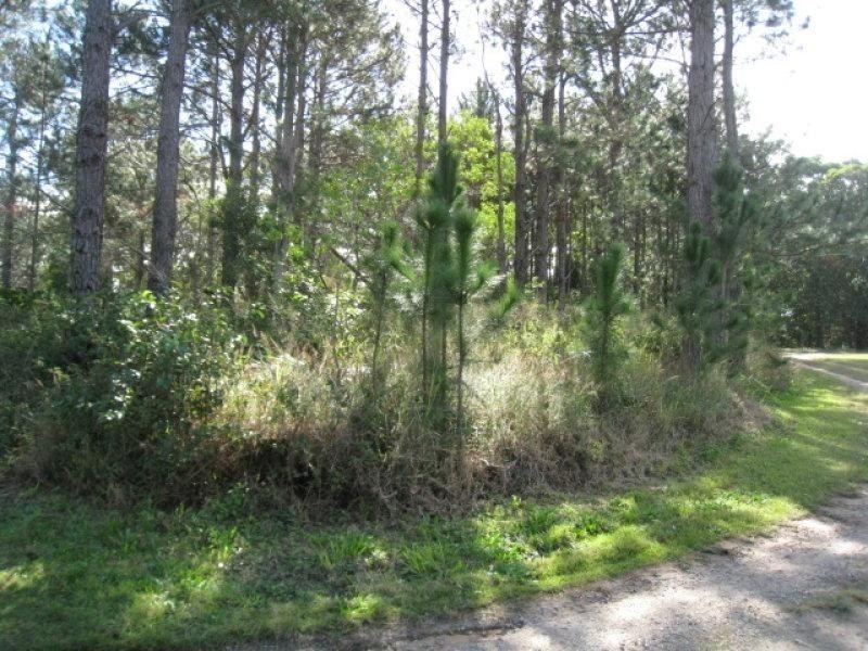 85 Laurel Street, Russell Island QLD 4184