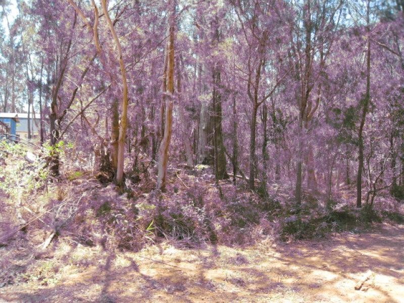 5 Seaward Drive, Russell Island QLD 4184