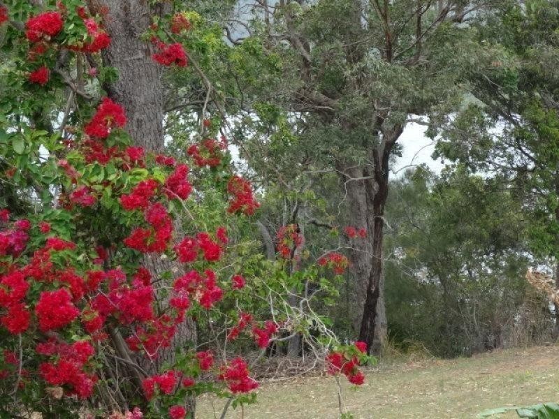 32 Canaipa Point Drive, Russell Island QLD 4184