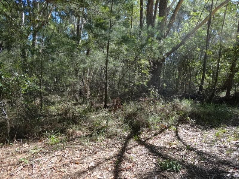 36 Pharlap Street, Russell Island QLD 4184