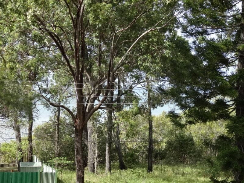 36 Blue Bay Cres, Macleay Island QLD 4184