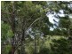 36 Blue Bay Cres, Macleay Island QLD 4184