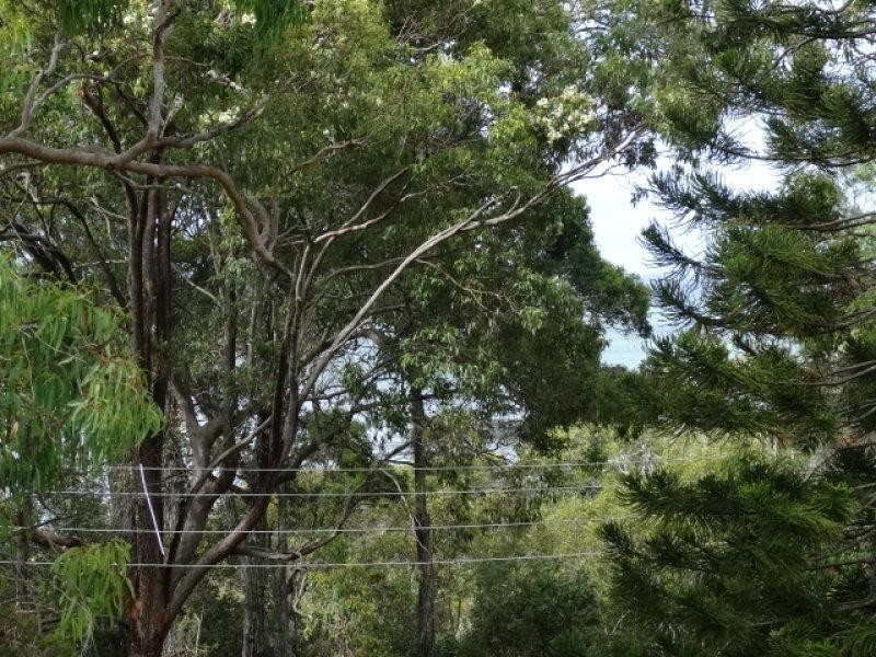 36 Blue Bay Cres, Macleay Island QLD 4184