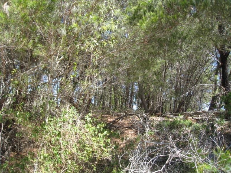 14 Highland Ridge Road, Russell Island QLD 4184