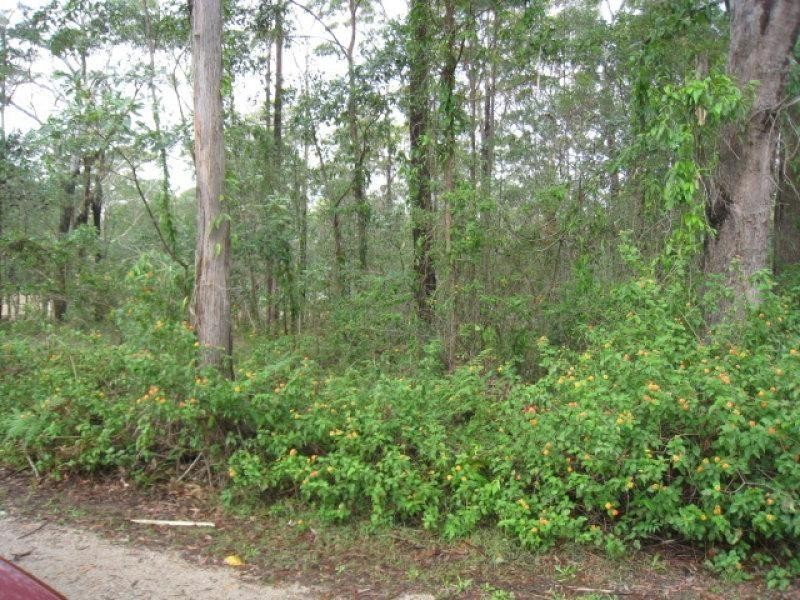 10 Angorra Street, Russell Island QLD 4184