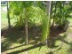 8 Dryandra St, Russell Island QLD 4184