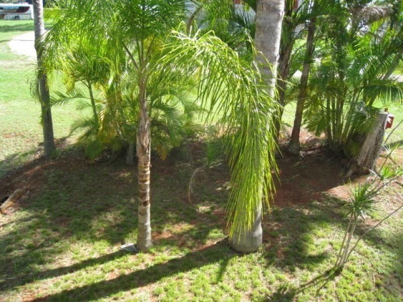 8 Dryandra St, Russell Island QLD 4184