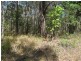 8 Oaklea Street, Russell Island QLD 4184