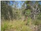 8 Crescent Drive, Russell Island QLD 4184