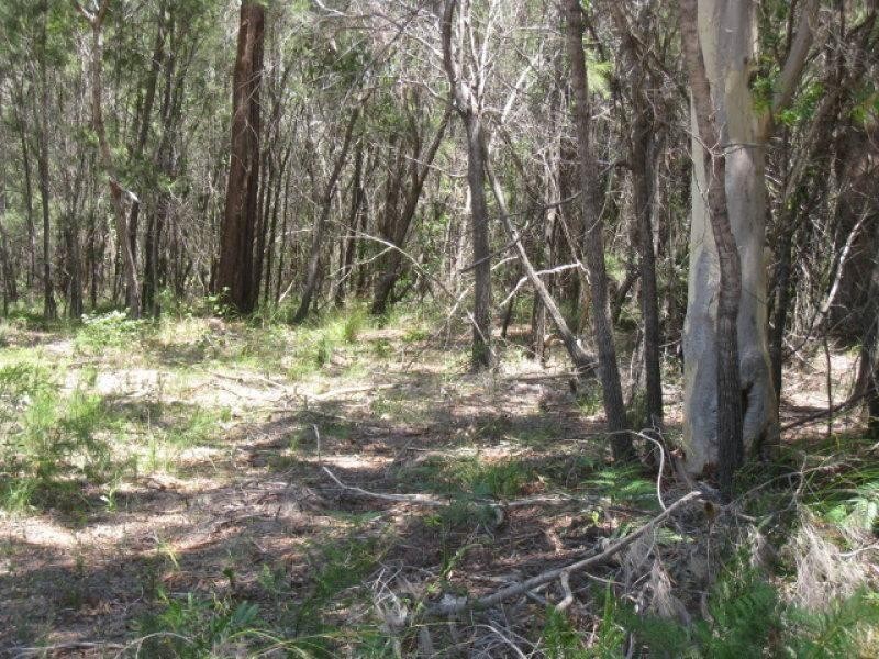 6 Saturn Street, Russell Island QLD 4184