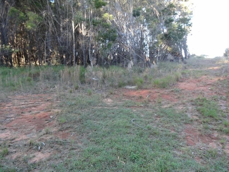 81 Shore Street, Russell Island QLD 4184