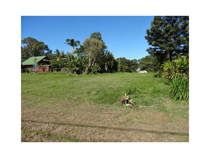 16  grevillea, Russell Island QLD 4184