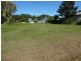 16  grevillea, Russell Island QLD 4184