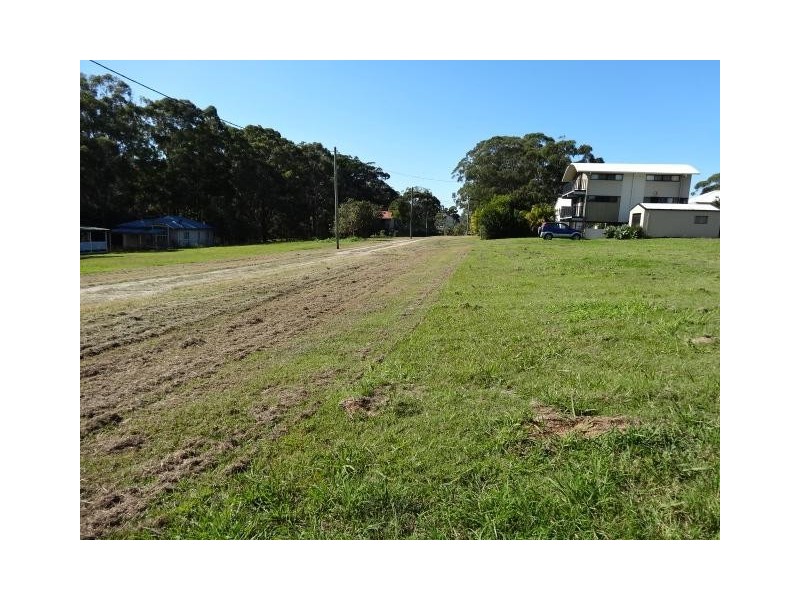 16  grevillea, Russell Island QLD 4184