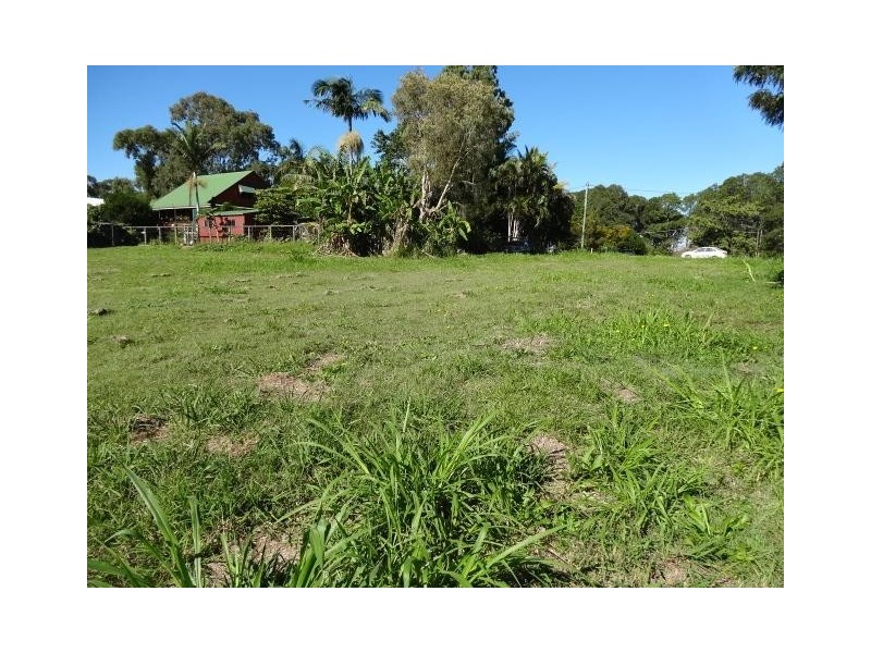 16  grevillea, Russell Island QLD 4184