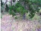 28 Cambridge Road, Russell Island QLD 4184